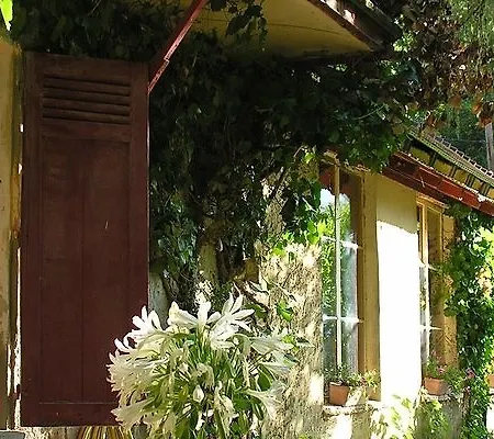 Monte D'oro ホテル